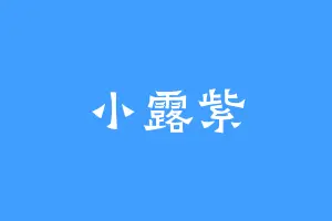 小露紫