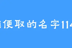随便取的名字1145