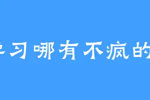 学习哪有不疯的a