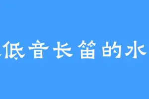 喜欢低音长笛的水生兽