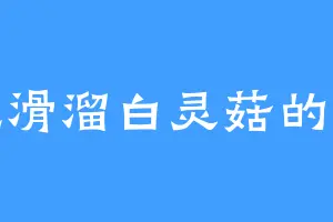 爱吃滑溜白灵菇的曹三