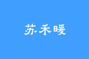 苏禾暖