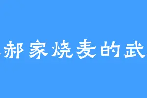 爱吃郝家烧麦的武翩绝