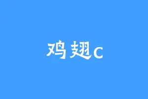 鸡翅c