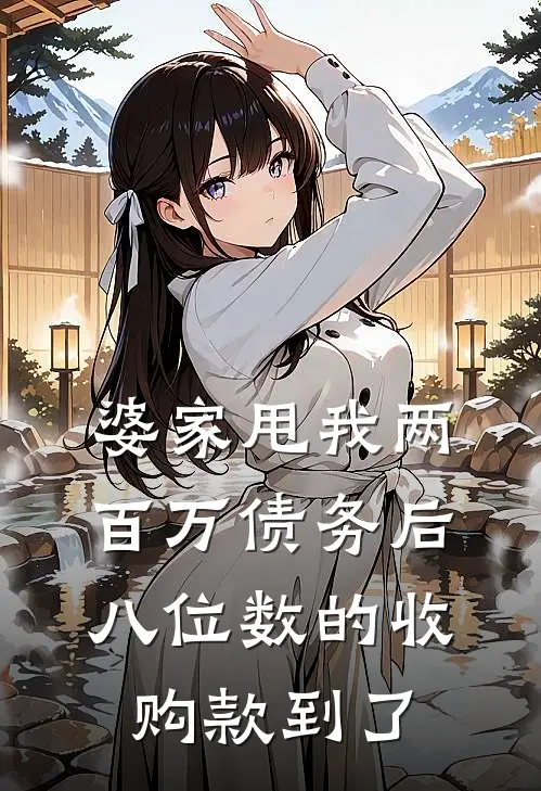 婆家甩我两百万债务后，八位数的收购款到了