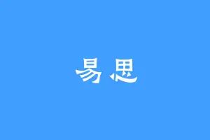 易思