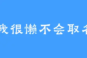 我很懒不会取名
