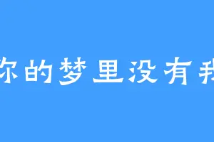 你的梦里没有我