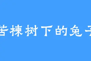 苦楝树下的兔子