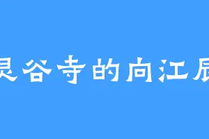灵谷寺的向江辰