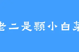 老二是颗小白菜
