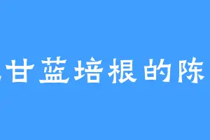 爱吃甘蓝培根的陈千风