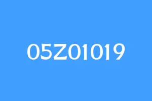 05Z01019
