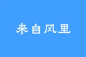 来自风里