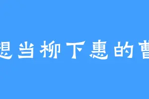 不想当柳下惠的曹贼