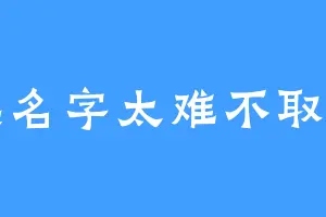 起名字太难不取了
