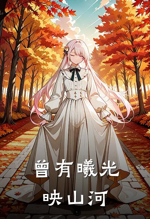 曾有曦光映山河