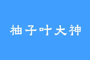 柚子叶大神