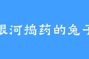 银河捣药的兔子