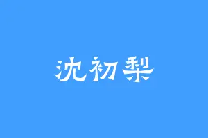 沈初梨