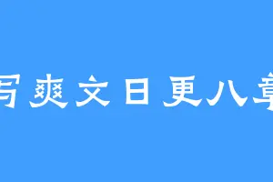 写爽文日更八章