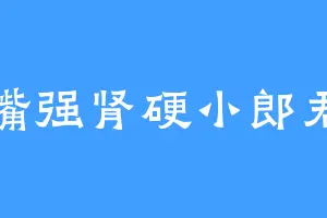 嘴强肾硬小郎君