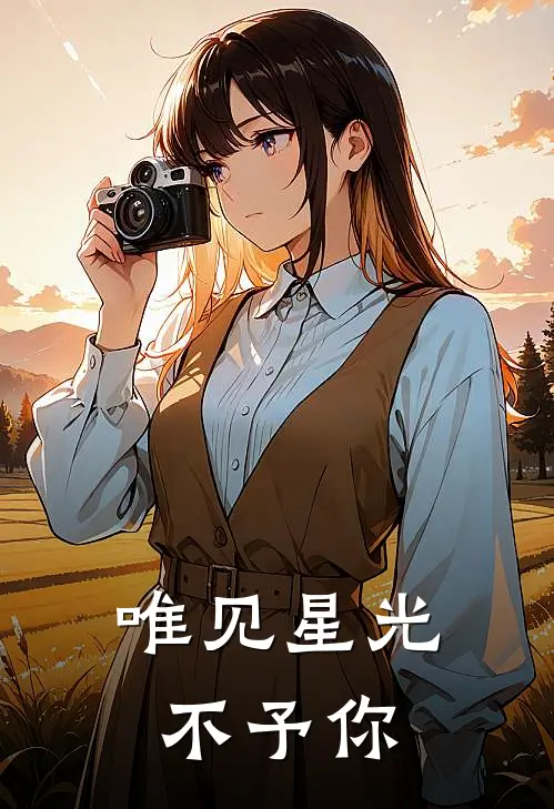 唯见星光不予你