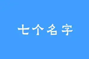 七个名字