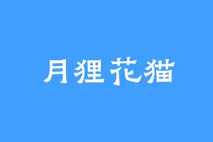 月狸花猫