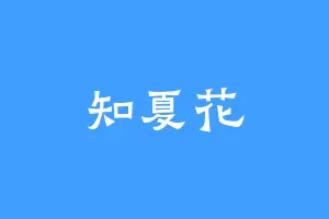 知夏花