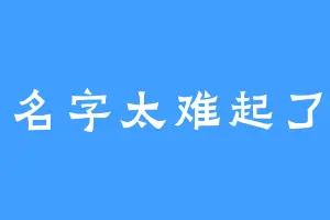 名字太难起了