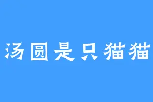 汤圆是只猫猫