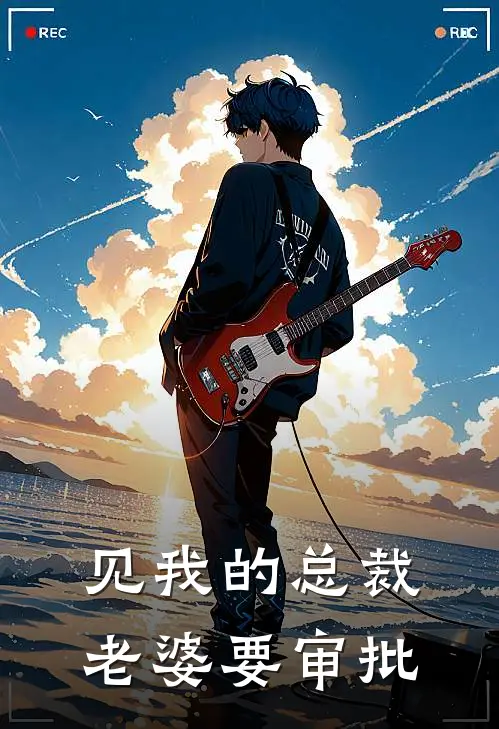 见我的总裁老婆要审批