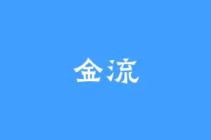 金流
