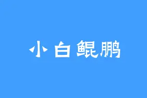 小白鲲鹏