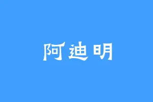 阿迪明