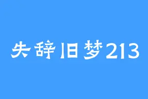 失辞旧梦213
