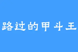 路过的甲斗王