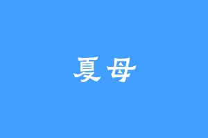 夏母