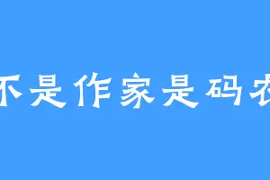 不是作家是码农